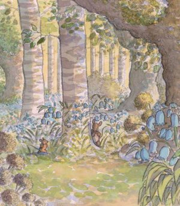 hide and seek in bluebell woods