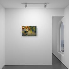 Load image into Gallery viewer, The Mighty Drop