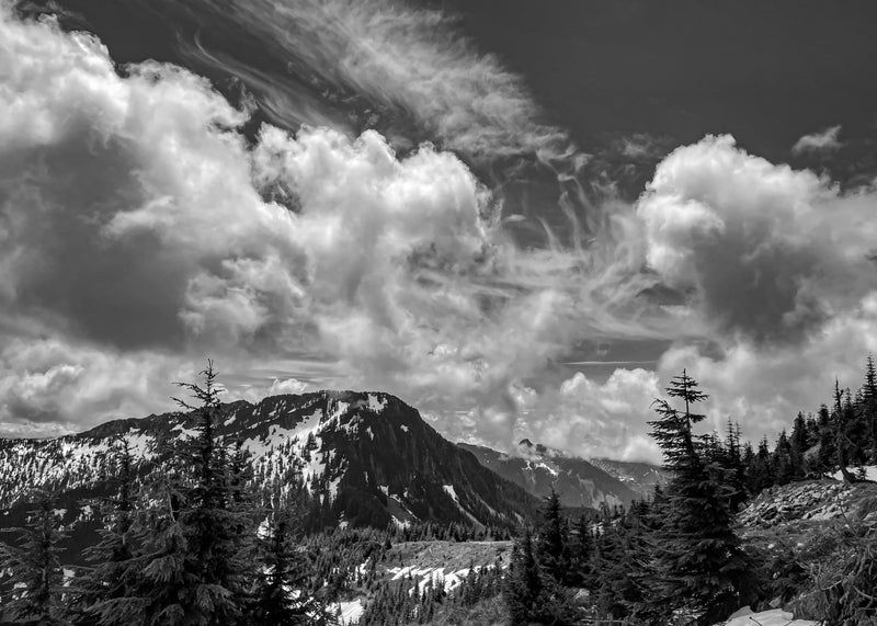 Thompson Point Drama #2