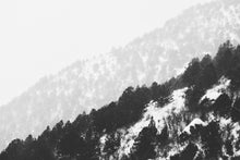 Load image into Gallery viewer, Layers of Landscape