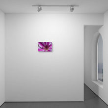 Load image into Gallery viewer, Expansion