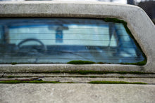 Load image into Gallery viewer, Return to Nature