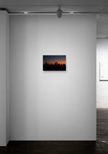 Load image into Gallery viewer, Blaze