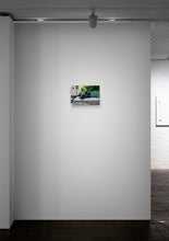 Load image into Gallery viewer, Panther