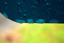 Load image into Gallery viewer, Holding On