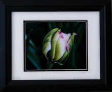 Load image into Gallery viewer, Fairy Wings