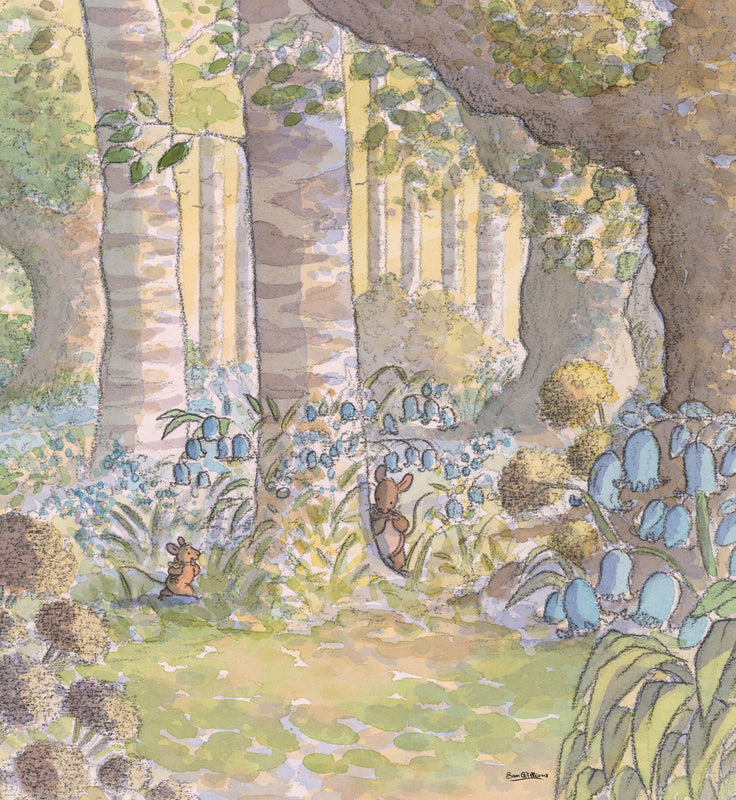 Bluebell hide and seek