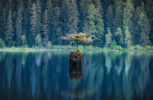 Load image into Gallery viewer, Fairy Lake