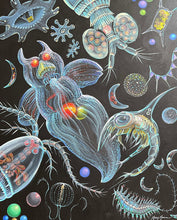 Load image into Gallery viewer, Sea Angel