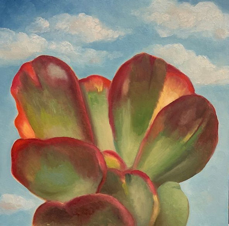 Plant Flapjack with Cloudy Sky