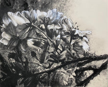 Load image into Gallery viewer, The ancient blossoms flurry down whispering