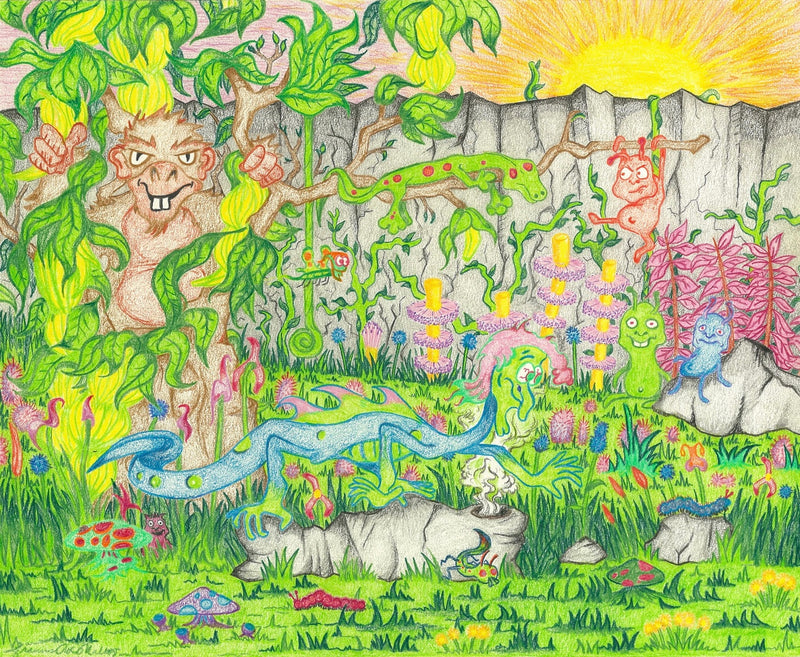Psychedelic Jungle