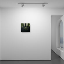 Load image into Gallery viewer, Little Sorrows
