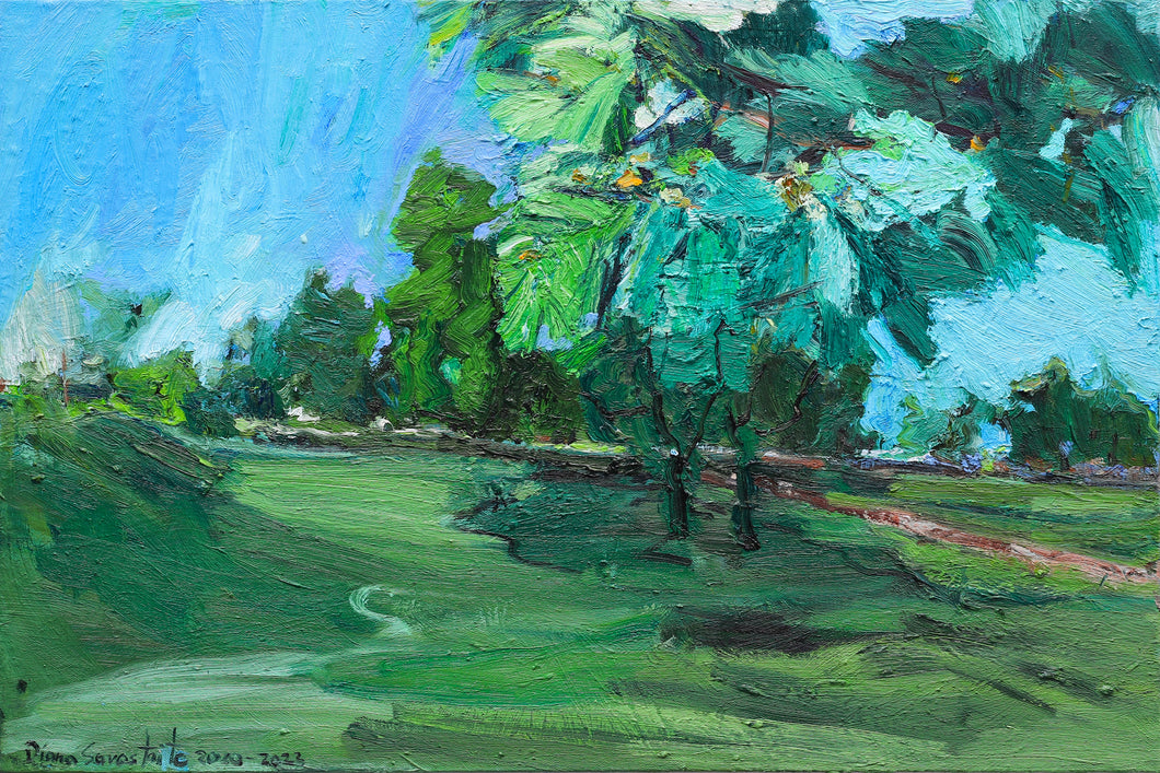 Trees and Shadows