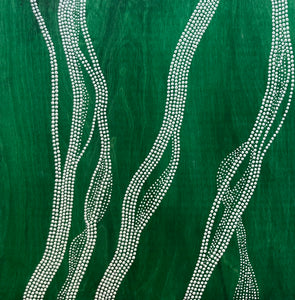 Forest Rivers
