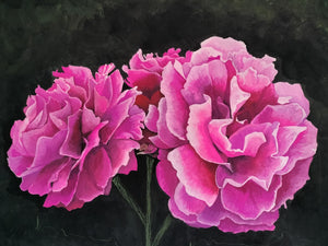 Ruffled Roses