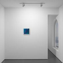 Load image into Gallery viewer, Sky Barnacles
