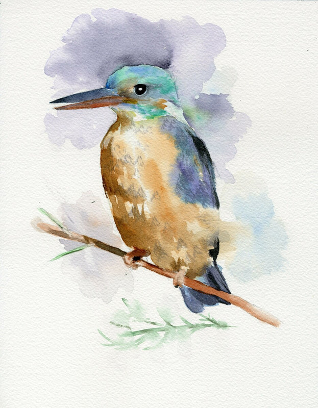 Kingfisher