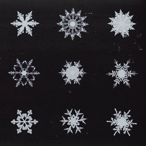 Snowflakes