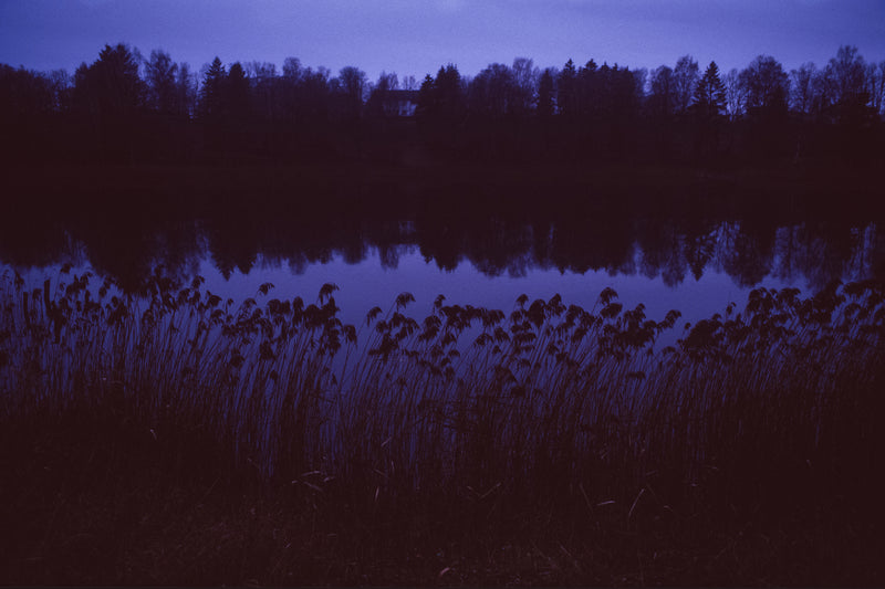 Indigo, winter colours. Talsi, Latvia.