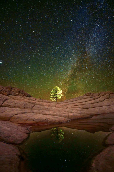 Lone Tree With Milky Way