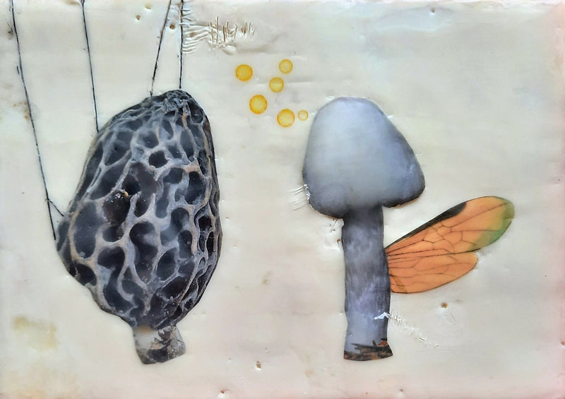 Mushroom Yellow Love Bubbles
