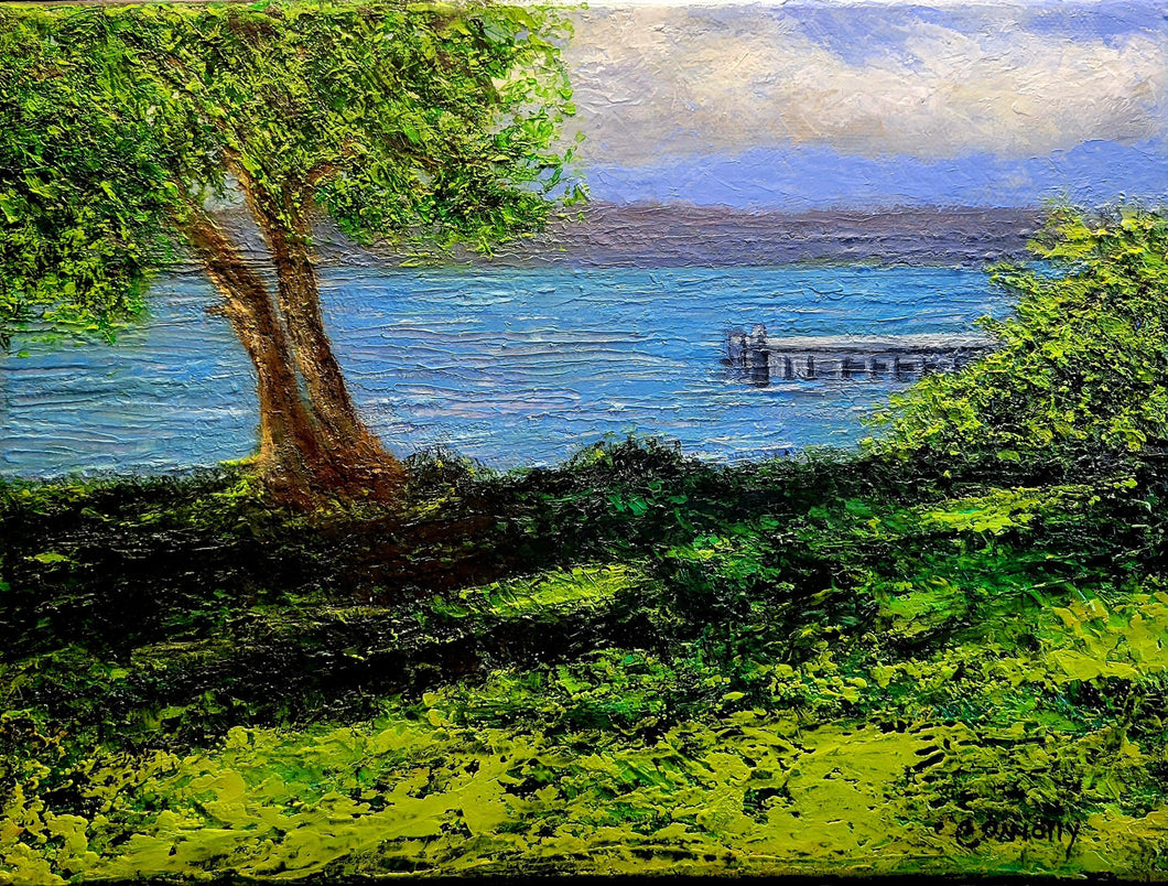 Lake Washington in Spring