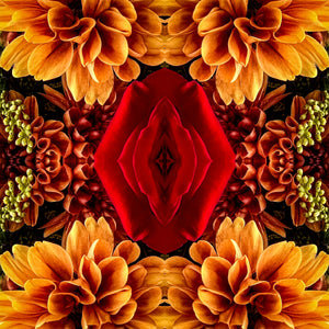 Symmetry - Rose in Autumn