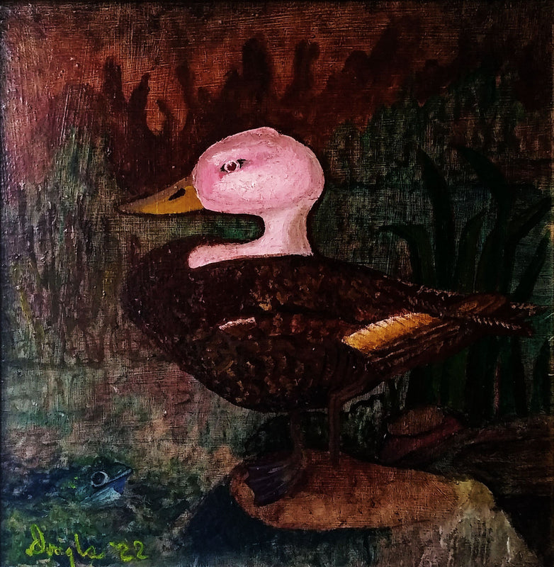 Pink Headed Duck