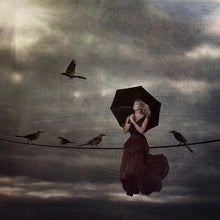Load image into Gallery viewer, Bird on a Wire
