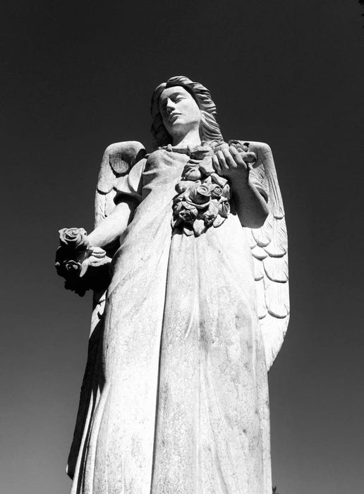 Washelli Angel