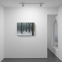 Load image into Gallery viewer, The Woods
