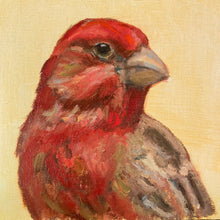 Load image into Gallery viewer, Portrait of a House Finch
