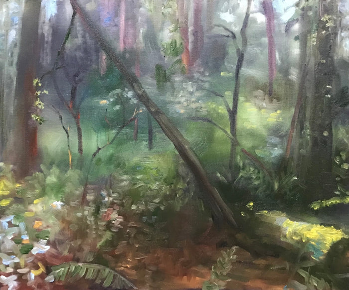 Forest Bathing in Seward Park