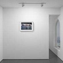 Load image into Gallery viewer, Carmargue Horses

