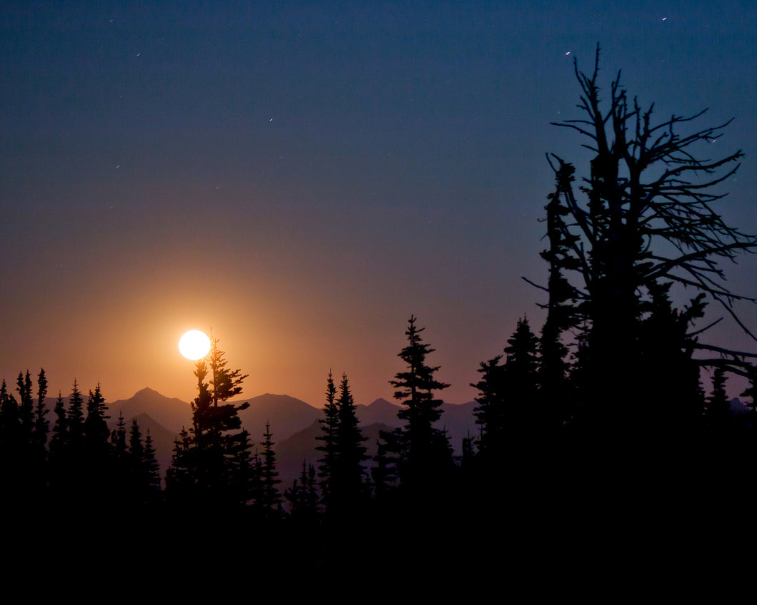 Moonscape at Tahoma