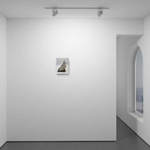 Load image into Gallery viewer, Interlude of a Silhouette

