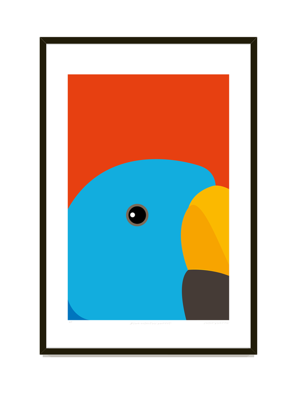 Blue eclectic parrot
