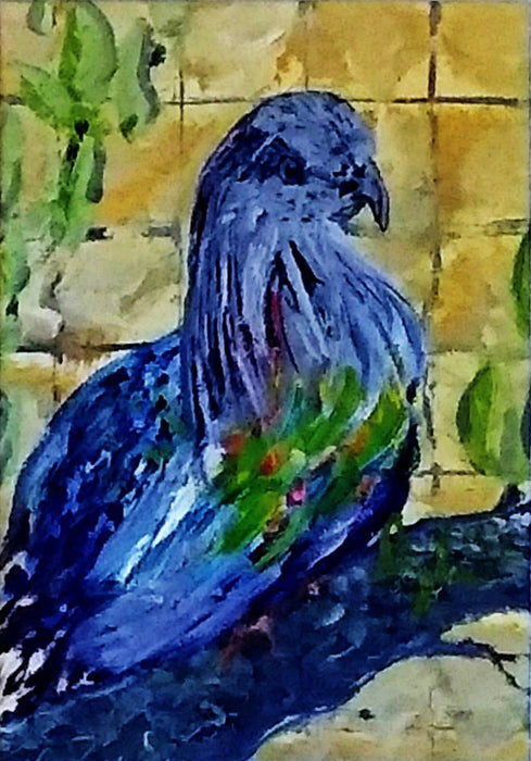 Nicobar Pigeon