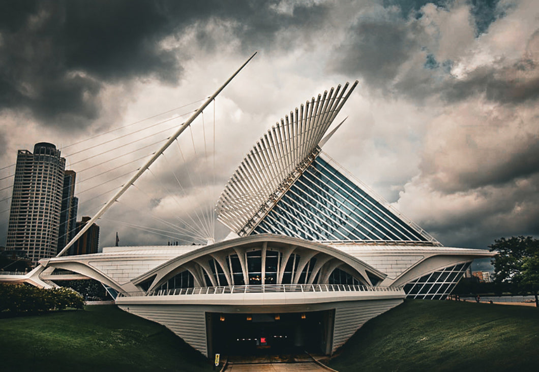 Beauty through the storm