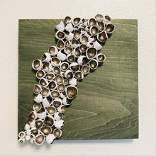 Load image into Gallery viewer, Mossy Barnacles
