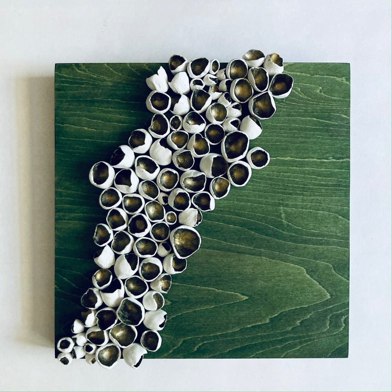 Mossy Barnacles