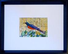 Load image into Gallery viewer, Golden Breasted Starling
