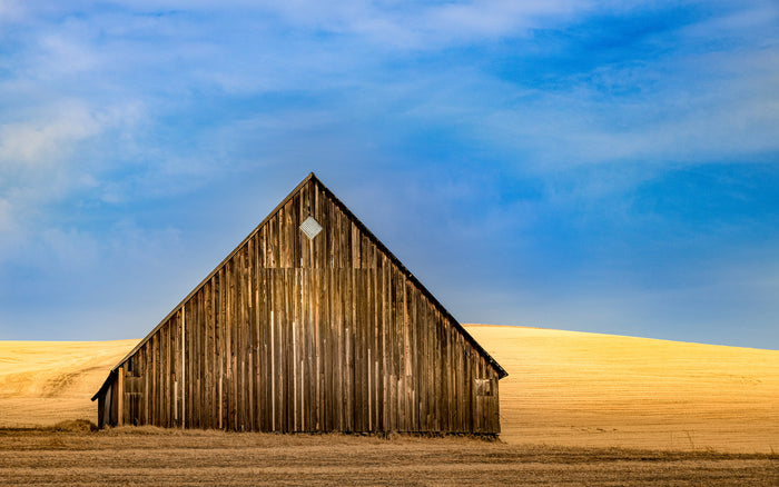 Old Barn in a Field