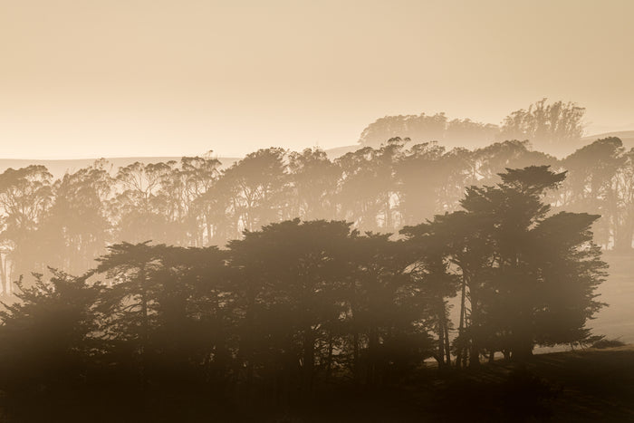Sunset on the California Coast
