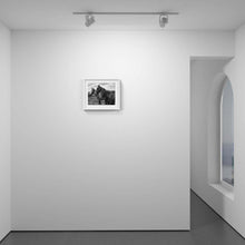 Load image into Gallery viewer, ABANDON
