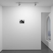 Load image into Gallery viewer, ABANDON

