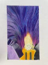 Load image into Gallery viewer, Iris
