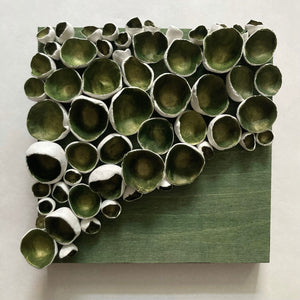 Fern Barnacles