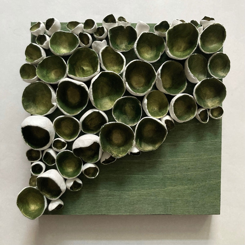 Fern Barnacles